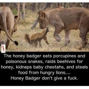 Meet your Posher, Johnathan